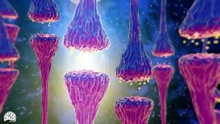 528hz Miracle Tone  Dna Repair amp Healing Nerve And Cell Regeneration Complete Body Healing [upl. by Lana]