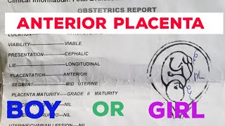 Anterior placenta baby gender  ultrasound scan report [upl. by Tarah]