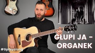 Organek  Głupi Ja  Cover Gitara [upl. by Pump580]