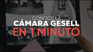 🛋️📹CÁMARA GESELL EN SOLO 1 MINUTO ⏱ [upl. by Jedthus]