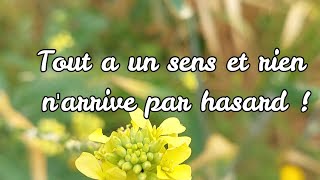 Rien narrive par hasard Tout a un sens  Pensées Positives [upl. by Naujad]