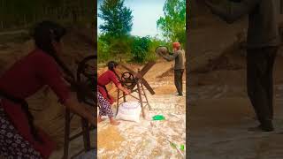 Kheti badi farming farmer agriculture tamil [upl. by Arly]