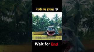 Shark Attack Chinese movie explaine in HindiUrdu shorts [upl. by Anivlac571]