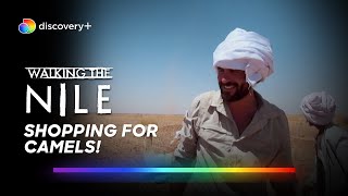 Levison Wood trails along the desert sands l Walking the Nile l Watch on discovery [upl. by Faruq]