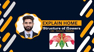 Structure of flowers Biology by Dk Sir [upl. by Shaff]