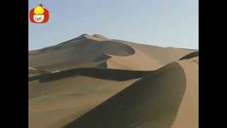 Muzică în natură Orhidee  Dune [upl. by Nanice]