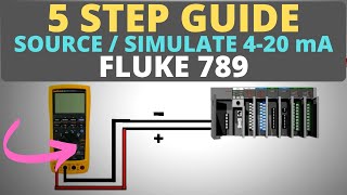 How To Use a Process Meter  5 Step Guide to Source  Simulate 420mA [upl. by Drucill]