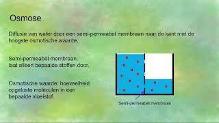 Diffusie en Osmose hypotonische isotonische en hypertonische oplossingen [upl. by Tehc259]