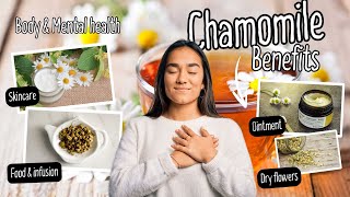 Chamomiles Surprising Health Benefits Explored [upl. by Shum]