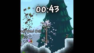 the fastest tree regrowth ever in terraria 43 frames [upl. by Nerrat]