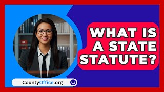 What Is A State Statute  CountyOfficeorg [upl. by Fotina855]