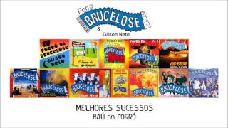 ESPECIAL FORRÓ DA BRUCELOSE  MELHORES SUCESSOS [upl. by Eustashe]