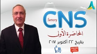 DrNagi  Live Physiology  Lecture 7  CNS Sensory 1 [upl. by Ban975]