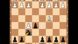 Chess Openings  Calabrese Countergambit [upl. by Ibbetson]