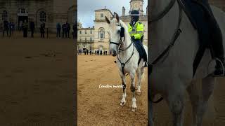 Heartwarming Moment Officer and Her Steed 🐴 london travel royalguard 🇬🇧 [upl. by Converse123]