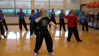 Wu Hao Tai Chi Houston students perform 1st section 24moves [upl. by Rape]