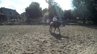 Riding one handed in the Hackamore Californio Traditions Cody Deering [upl. by Einwahr730]