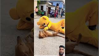 Teddy mith dog😱mrcrazy teddycomedy funnyshorts [upl. by Aneerol322]