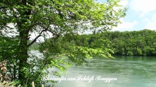 RheinfeldenBaden  Panorama Video [upl. by Jyoti]