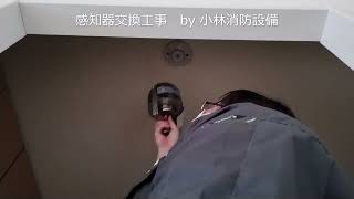 感知器交換工事㉜－4（小林優子 甲種消防設備士 低圧電気取扱い業務特別教育修了） fire alarm equipment～小林消防設備 福岡県豊前市 全類消防設備士 第二種電気工事士 経営学修士～ [upl. by Renado]