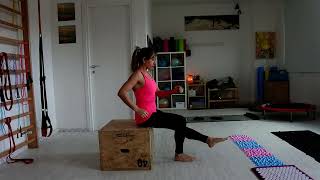 Plyo box mono podalico [upl. by Megan30]