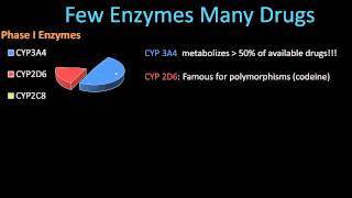 Phase II Metabolism  Pharmacology Lect 8 [upl. by Shanney]