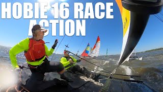 Hobiecat 16 racing ONBOARD Midwinters Regatta USA 2024 [upl. by Ahsiekam]