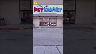 Petsmart Houston texas USA  Dogs  Cats  Birds  aquarium  pet store in america [upl. by Atiuqin]