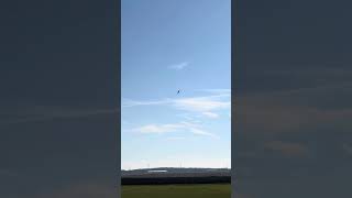 Maiden flight freewing cougar with jetcat p20sx [upl. by Ilojne]