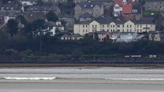 Tidal Bore by Grange Over Sands 21 Feb 2019 [upl. by Holsworth]