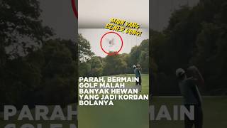 Wah parah Burungnya jadi gimana tuh shorts golf [upl. by Zamir]