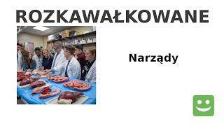 Kawał  Narządy  Rozkawałkowane [upl. by Ahsiyt]