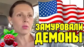 Big Big Family in the USA Замуровали демоны Обзор Жизнь в Америке США Vlog [upl. by Allayne384]