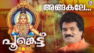 അങ്ങകലെ മലമേലെ  ayyappa devotional song malayalam  mg sreekumar [upl. by Ashraf235]