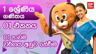 01 ඒකකය  01 පාඩම  වර්ගය අනුව තේරීම  01 ශ්‍රේණිය ගණිතය [upl. by Rednave]