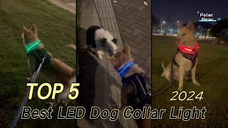 TOP 5 Best LED Dog Collar Light 2024 [upl. by Nnaira]