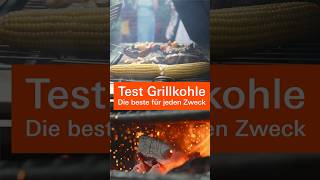 Test Grillkohle 2024 Die besten Grillkohlen und Grillbriketts für jeden Zweck Stiftung Warentest [upl. by Halie]