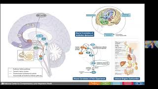 Grand Rounds quotMusic and ArtBased Interventions for Health and Wellbeingquot Emmeline Edwards PhD [upl. by Lietman545]