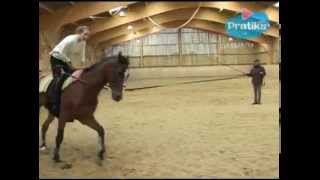 Equestrian Vaulting  What is Equestrian vaulting [upl. by Roseline565]