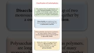 Classification of Carbohydrates  shorts [upl. by Eira]