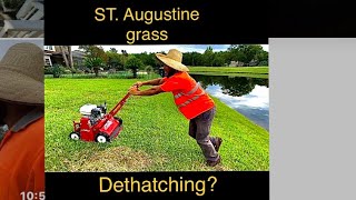 Can I dethatch my St Augustine Grass Classen TR20 [upl. by Higley417]