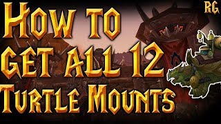 How To Obtain all 12 Turtle Mounts FOR THE HORDE  Easy Tutorial  World of Warcraft [upl. by Charlene517]