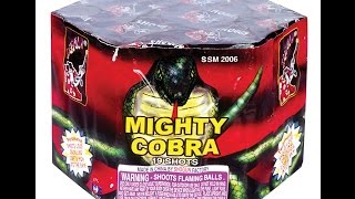 Mighty Cobra Shogun SSM2006 [upl. by Annoved]