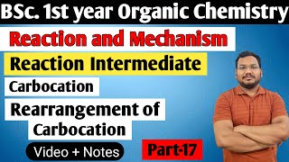 Rearrangement of carbocation  Reaction and Mechanism  BSc 1st semester organic chemistry [upl. by Adikam]