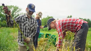 Prairie Drifter Farm  Rural Energy for America Program REAP Highlight [upl. by Bond]