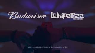 Budweiser X Lollapalooza Argentina 2024 [upl. by Murton]