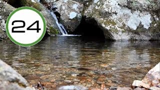 SONIDO de CASCADA💧💧Pequeña y RÍO💦 Agua Cayendo y Fluyendo Suave Relajante para Dormir y Relajarse [upl. by Arreit]