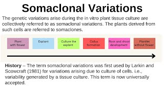 Somaclonal variation Definition History Reason application somaclone selection of somaclone [upl. by Halullat806]