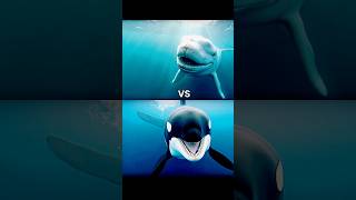 Killer whale vs ocean animalsdolphin shark tortoise crocodile seal octopus fish white shark [upl. by Mosira]