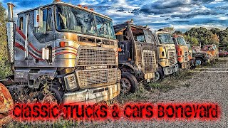 Tackaberry Classic Trucks Boneyard Exploration [upl. by Partan]